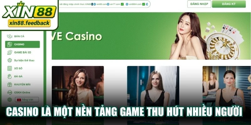 Casino là một nền tảng game thu hút rất nhiều người yêu thích chơi bài