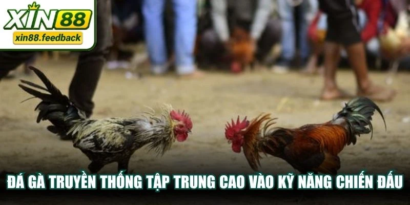 Đá gà truyền thống tập trung cao vào kỹ năng chiến đấu tự nhiên