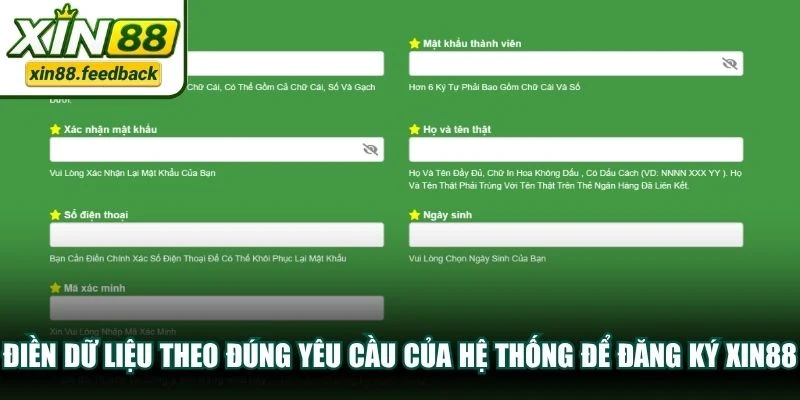Điền dữ liệu theo đúng yêu cầu của hệ thống để đăng ký XIN88